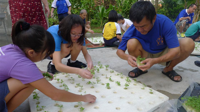 Hydroponic Gardening 2012